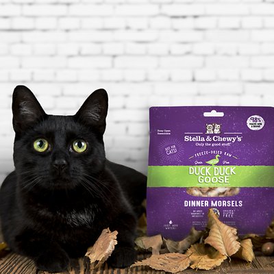 Stella & Chewy's Duck Duck Goose Dinner Morsels Freeze-Dried Raw Cat Food