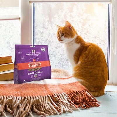 Stella & Chewy's Tummy Ticklin' Turkey Dinner Morsels Freeze-Dried Raw Cat Food