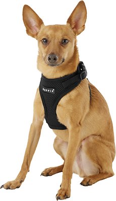 Puppia RiteFit Polyester Back Clip Dog Harness