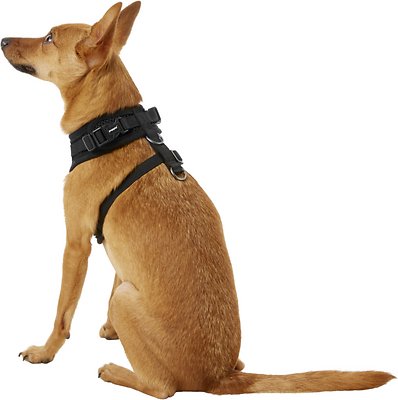 Puppia RiteFit Polyester Back Clip Dog Harness