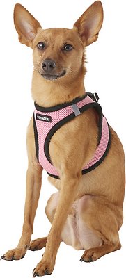 Best Pet Supplies Voyager Black Trim Mesh Dog Harness