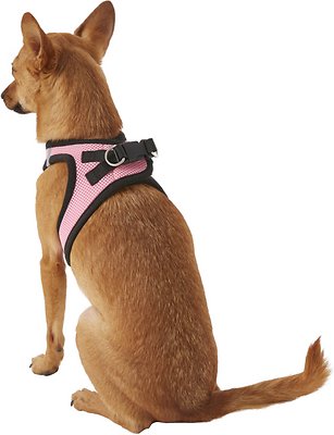 Best Pet Supplies Voyager Black Trim Mesh Dog Harness
