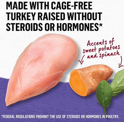 Purina Beyond Grain-Free Turkey, Sweet Potato & Spinach Recipe