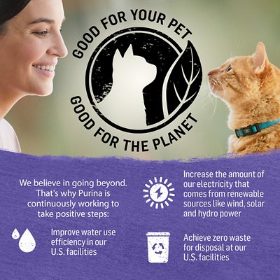 Purina Beyond Grain-Free Turkey, Sweet Potato & Spinach Recipe