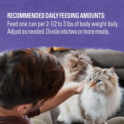 Purina Beyond Grain-Free Turkey, Sweet Potato & Spinach Recipe