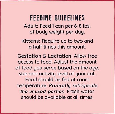 Hound & Gatos 98% Salmon Grain-Free Canned Cat Food
