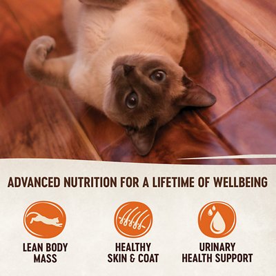 Wellness CORE Natural Grain Free Turkey & Duck Pate Canned Cat Food
