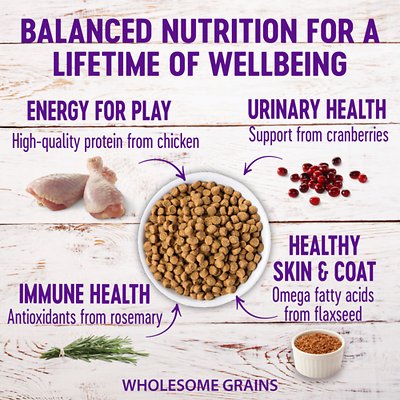 Wellness Natural Hairball Control Chicken Meal & Rice Recipe Dry Cat Food