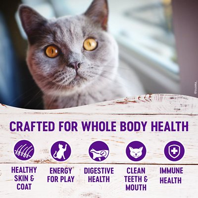 Wellness Natural Hairball Control Chicken Meal & Rice Recipe Dry Cat Food