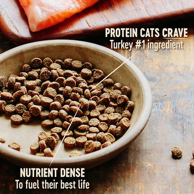 Wellness CORE Grain-Free Original Formula Dry Cat Food