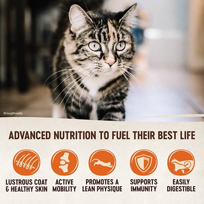 Wellness CORE Grain-Free Original Formula Dry Cat Food