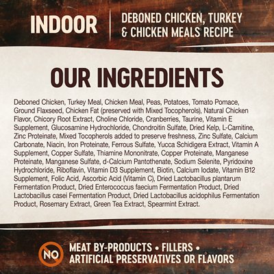 Wellness CORE Grain-Free Indoor Formula Dry Cat Food