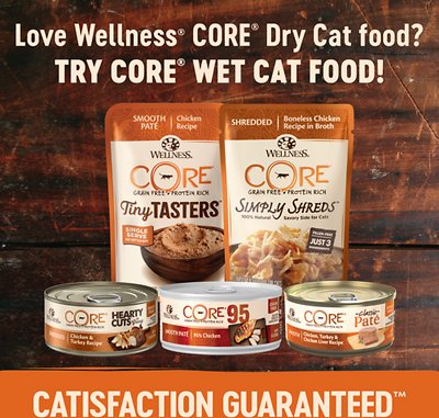 Wellness CORE Grain-Free Indoor Formula Dry Cat Food