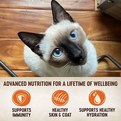 Wellness CORE Signature Selects Flaked Skipjack Tuna & Wild Salmon