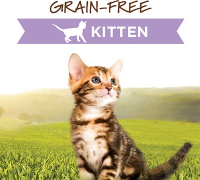 Instinct Kitten Grain-Free Pate Real Chicken Recipe Natural Wet Canned Cat Food