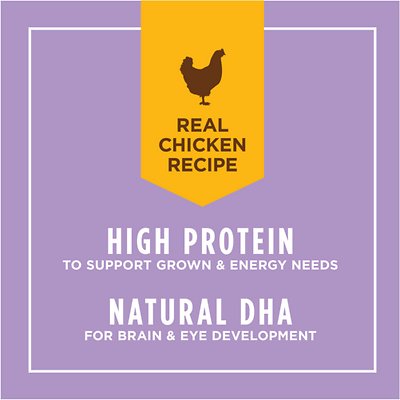 Instinct Kitten Grain-Free Pate Real Chicken Recipe Natural Wet Canned Cat Food