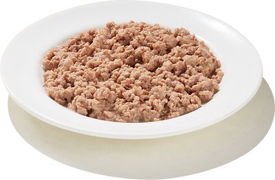 TRIUMPH Meals of Victory with Salmon Recipe Wet Cat Food Cups