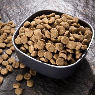Crave with Protein from Chicken & Salmon Indoor Adult Grain-Free Dry Cat Food