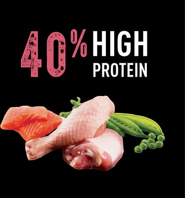 Crave with Protein from Chicken & Salmon Indoor Adult Grain-Free Dry Cat Food