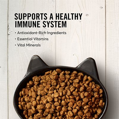 American Journey Salmon Recipe Grain-Free Dry Food
