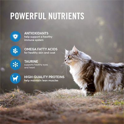 American Journey Salmon Recipe Grain-Free Dry Food
