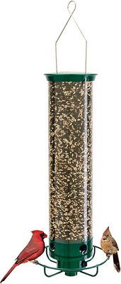 Droll Yankees Yankee Flipper Motorized Bird Feeder