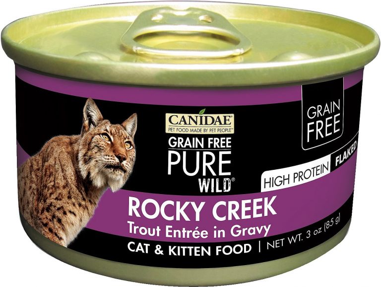 CANIDAE Grain-Free PURE Wild: Rocky Creek with Trout Canned Food