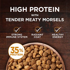 Purina ONE True Instinct Natural Real Chicken Plus Vitamins & Minerals High Protein Grain-Free Dry Cat Food