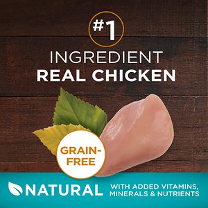 Purina ONE True Instinct Natural Real Chicken Plus Vitamins & Minerals High Protein Grain-Free Dry Cat Food