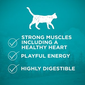 Purina ONE True Instinct Natural Real Chicken Plus Vitamins & Minerals High Protein Grain-Free Dry Cat Food