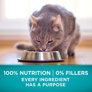 Purina ONE True Instinct Natural Real Chicken Plus Vitamins & Minerals High Protein Grain-Free Dry Cat Food