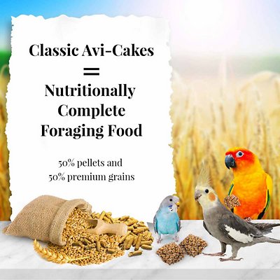 Lafeber Classic Avi-Cakes Small Bird Food
