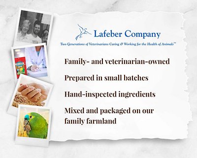 Lafeber Classic Avi-Cakes Parrot Food