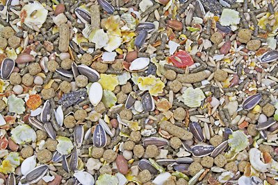 Higgins Sunburst Gourmet Blend Gerbil & Hamster Food