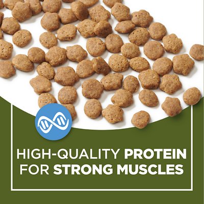 Cat Chow Naturals Grain-Free with Real Chicken Dry Food
