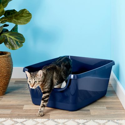 Frisco High Sided Cat Litter Box
