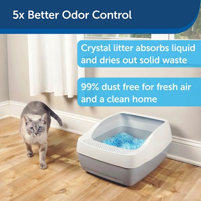 ScoopFree Sensitive Unscented Non-Clumping Crystal Cat Litter