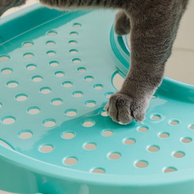 IRIS Top Entry Cat Litter Box & Scoop, White/Green