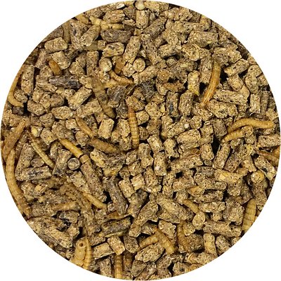 Exotic Nutrition Hedgehog Complete Hedgehog Food