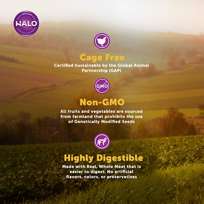 Halo Holistic Chicken & Chicken Liver Recipe Adult Dry Cat Food