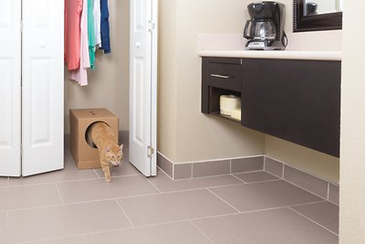 PetSafe Disposable Collapsible Litter Box