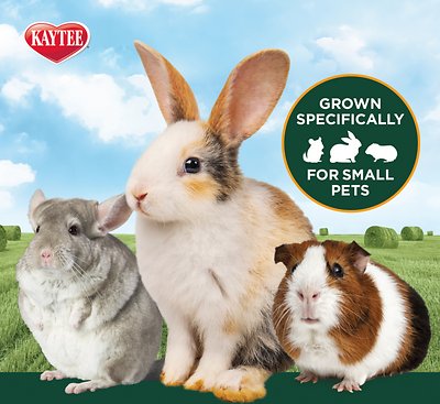 Kaytee First Cut Timothy Hay Small Animal Food