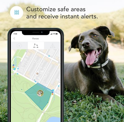 Findster Duo+ Dog & Cat GPS Tracker & Activity Monitor