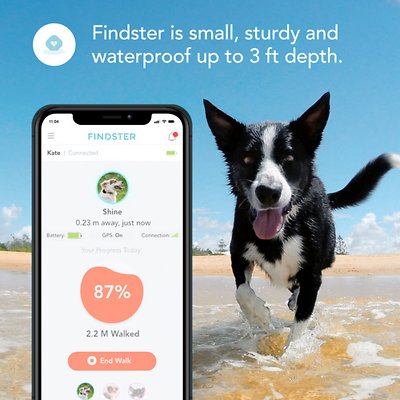 Findster Duo+ Dog & Cat GPS Tracker & Activity Monitor