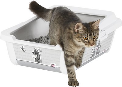 Frisco Feline the Love Litter Box