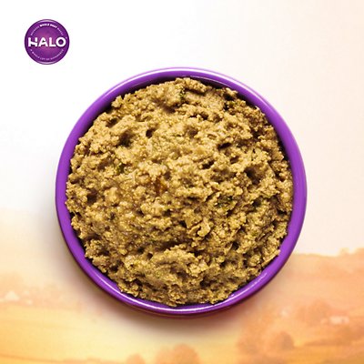Halo Chicken Recipe Pate Grain-Free Indoor Cat Canned Cat Food