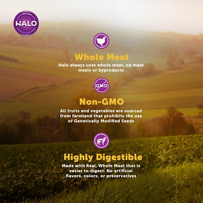 Halo Chicken Recipe Pate Grain-Free Indoor Cat Canned Cat Food