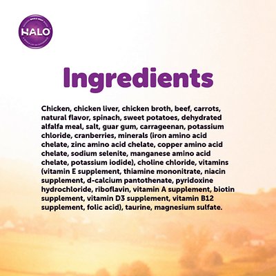 Halo Chicken Recipe Pate Grain-Free Indoor Cat Canned Cat Food