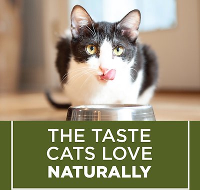 Cat Chow Naturals Indoor with Real Chicken & Turkey Dry Cat Food