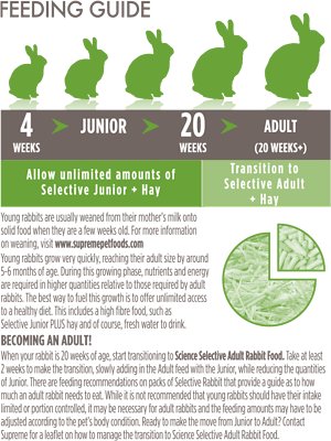 Science Selective Junior Rabbit Food